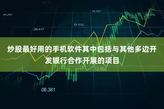炒股最好用的手机软件其中包括与其他多边开发银行合作开展的项目