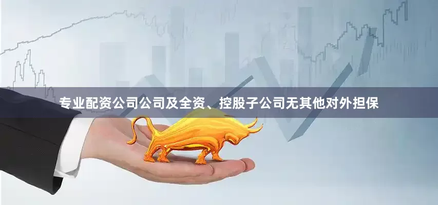 专业配资公司公司及全资、控股子公司无其他对外担保