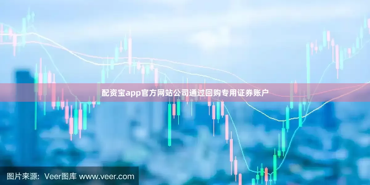 配资宝app官方网站公司通过回购专用证券账户