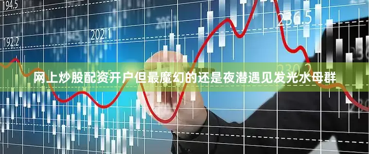 网上炒股配资开户但最魔幻的还是夜潜遇见发光水母群